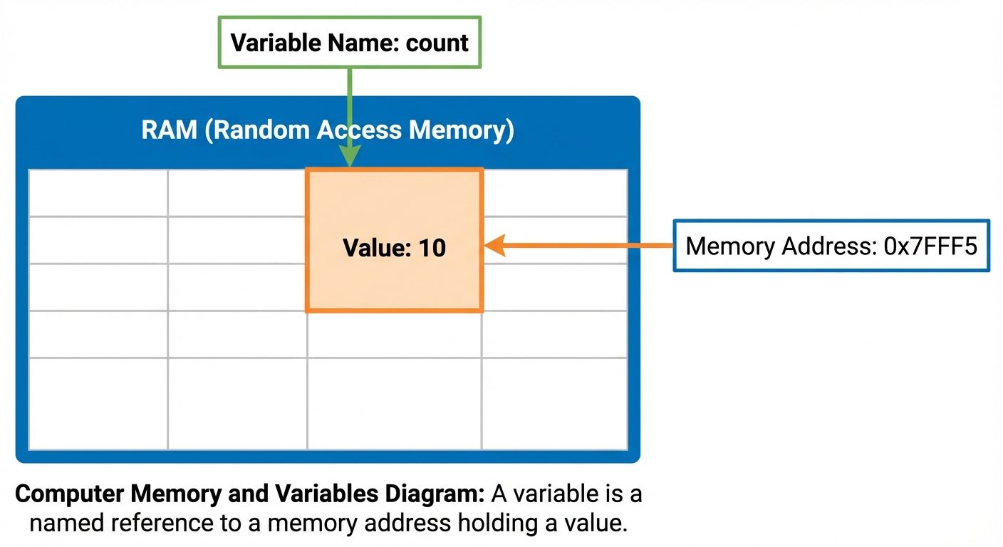 A block diagram visualizing "Computer Memory and Variables". The image should show a rectangular mem...