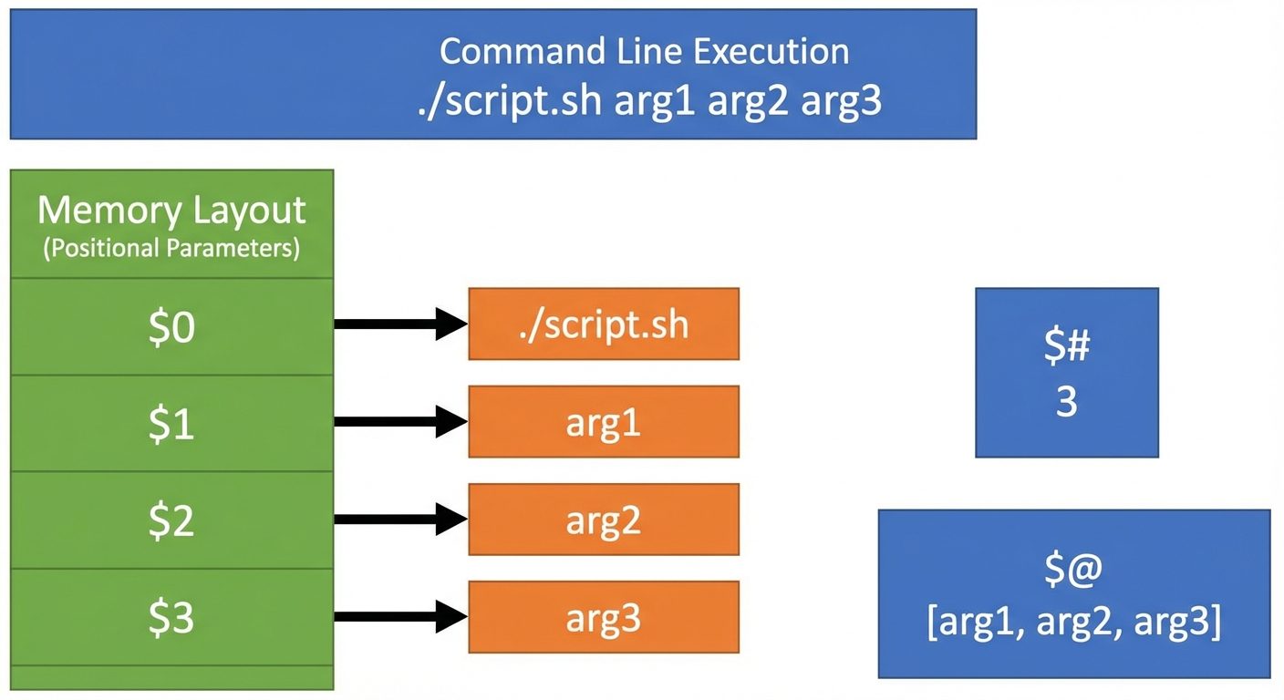A visualization of the "Positional Parameters" concept in memory when executing a script with argume...
